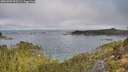 ./images/calvert/foggy-cove/20251005/foggy-cove20251005_095501M.jpg