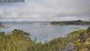 ./images/calvert/foggy-cove/20251005/foggy-cove20251005_100001M.jpg