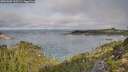 ./images/calvert/foggy-cove/20251005/foggy-cove20251005_100501M.jpg