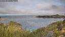 ./images/calvert/foggy-cove/20251005/foggy-cove20251005_101001M.jpg