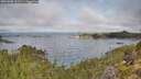 ./images/calvert/foggy-cove/20251005/foggy-cove20251005_102501M.jpg
