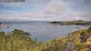 ./images/calvert/foggy-cove/20251005/foggy-cove20251005_103001M.jpg
