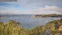 ./images/calvert/foggy-cove/20251005/foggy-cove20251005_103501M.jpg