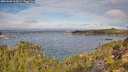 ./images/calvert/foggy-cove/20251005/foggy-cove20251005_104502M.jpg