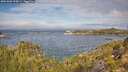 ./images/calvert/foggy-cove/20251005/foggy-cove20251005_105001M.jpg