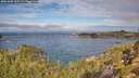 ./images/calvert/foggy-cove/20251005/foggy-cove20251005_105502M.jpg
