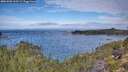 ./images/calvert/foggy-cove/20251005/foggy-cove20251005_110501M.jpg