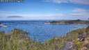 ./images/calvert/foggy-cove/20251005/foggy-cove20251005_111502M.jpg