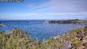 ./images/calvert/foggy-cove/20251005/foggy-cove20251005_113501M.jpg
