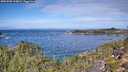 ./images/calvert/foggy-cove/20251005/foggy-cove20251005_114002M.jpg