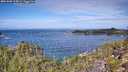 ./images/calvert/foggy-cove/20251005/foggy-cove20251005_114501M.jpg