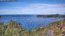 ./images/calvert/foggy-cove/20251005/foggy-cove20251005_115501M.jpg