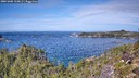 ./images/calvert/foggy-cove/20251005/foggy-cove20251005_120001M.jpg