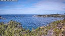 ./images/calvert/foggy-cove/20251005/foggy-cove20251005_120501M.jpg