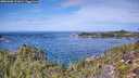 ./images/calvert/foggy-cove/20251005/foggy-cove20251005_121001M.jpg
