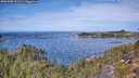 ./images/calvert/foggy-cove/20251005/foggy-cove20251005_121501M.jpg