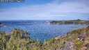 ./images/calvert/foggy-cove/20251005/foggy-cove20251005_122001M.jpg