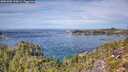 ./images/calvert/foggy-cove/20251005/foggy-cove20251005_123001M.jpg