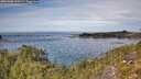 ./images/calvert/foggy-cove/20251005/foggy-cove20251005_123502M.jpg