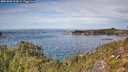 ./images/calvert/foggy-cove/20251005/foggy-cove20251005_124001M.jpg