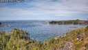 ./images/calvert/foggy-cove/20251005/foggy-cove20251005_124501M.jpg