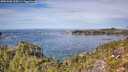 ./images/calvert/foggy-cove/20251005/foggy-cove20251005_125001M.jpg