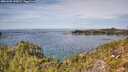 ./images/calvert/foggy-cove/20251005/foggy-cove20251005_130001M.jpg