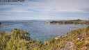 ./images/calvert/foggy-cove/20251005/foggy-cove20251005_130501M.jpg