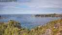 ./images/calvert/foggy-cove/20251005/foggy-cove20251005_131002M.jpg