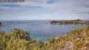 ./images/calvert/foggy-cove/20251005/foggy-cove20251005_132501M.jpg