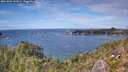 ./images/calvert/foggy-cove/20251005/foggy-cove20251005_141001M.jpg