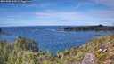 ./images/calvert/foggy-cove/20251005/foggy-cove20251005_142002M.jpg
