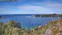 ./images/calvert/foggy-cove/20251005/foggy-cove20251005_142501M.jpg