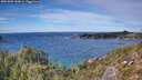 ./images/calvert/foggy-cove/20251005/foggy-cove20251005_143001M.jpg