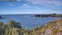 ./images/calvert/foggy-cove/20251005/foggy-cove20251005_150501M.jpg