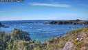 ./images/calvert/foggy-cove/20251005/foggy-cove20251005_154001M.jpg