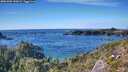 ./images/calvert/foggy-cove/20251005/foggy-cove20251005_155001M.jpg