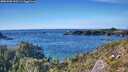 ./images/calvert/foggy-cove/20251005/foggy-cove20251005_155501M.jpg