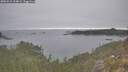 ./images/calvert/foggy-cove/20251015/foggy-cove20251015_104001M.jpg