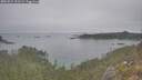 ./images/calvert/foggy-cove/20251015/foggy-cove20251015_121501M.jpg