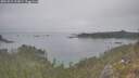 ./images/calvert/foggy-cove/20251015/foggy-cove20251015_123001M.jpg