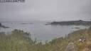 ./images/calvert/foggy-cove/20251015/foggy-cove20251015_125002M.jpg