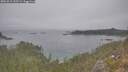 ./images/calvert/foggy-cove/20251015/foggy-cove20251015_133501M.jpg