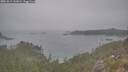 ./images/calvert/foggy-cove/20251015/foggy-cove20251015_141001M.jpg