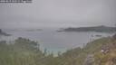 ./images/calvert/foggy-cove/20251015/foggy-cove20251015_142501M.jpg
