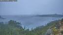 ./images/calvert/foggy-cove/20251016/foggy-cove20251016_083001M.jpg