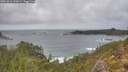 ./images/calvert/foggy-cove/20251016/foggy-cove20251016_141001M.jpg