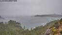 ./images/calvert/foggy-cove/20251022/foggy-cove20251022_104501M.jpg