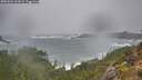 ./images/calvert/foggy-cove/20251023/foggy-cove20251023_113001M.jpg