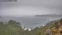 ./images/calvert/foggy-cove/20251023/foggy-cove20251023_145501M.jpg